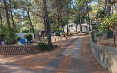 Image camping