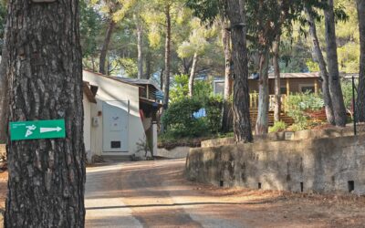 Image camping