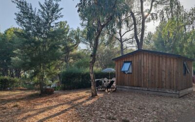 Image camping