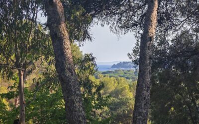 Image camping