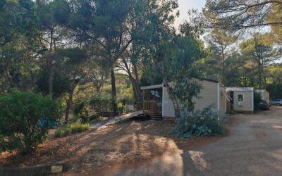 Image camping