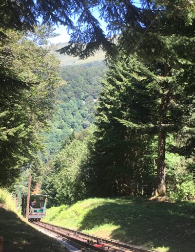 Image camping