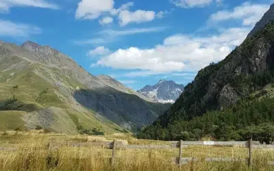 Image camping
