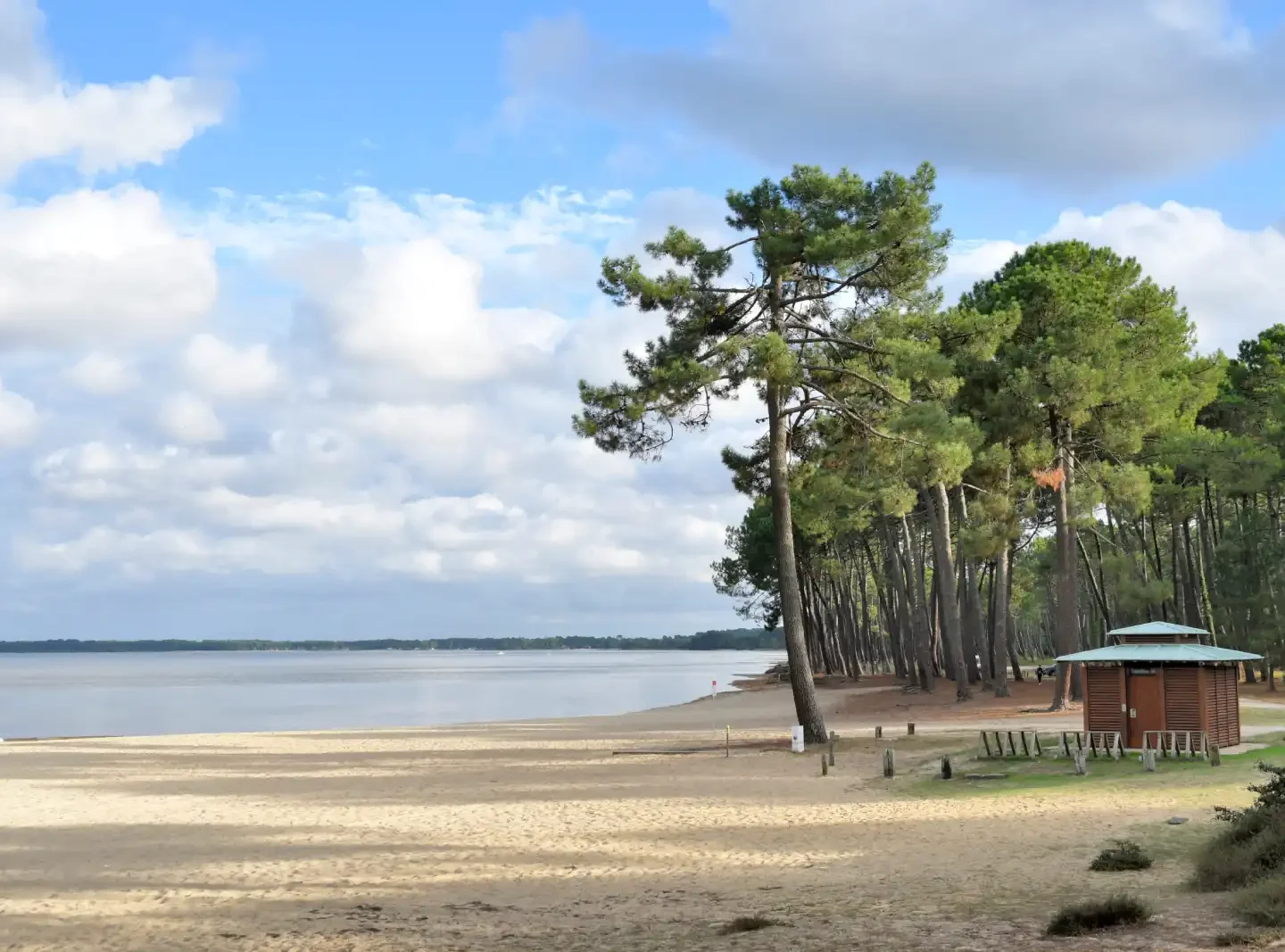 Camping en bord de lac à Sanguinet, dans les Landes, cadre naturel entre forêt et plage, pour des vacances en famille proches du lac et de Biscarrosse.
