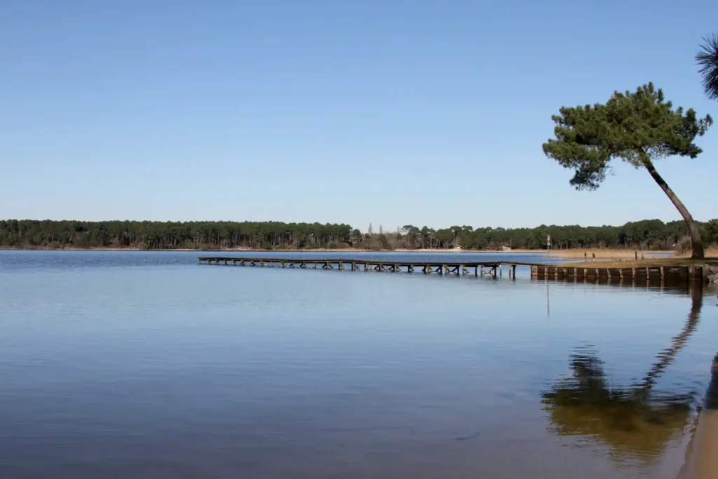 Camping familial proche de Parentis-en-Born, dans les Landes, entre lac et océan, parfait pour des vacances nature, baignade, pêche et détente en Nouvelle-Aquitaine.