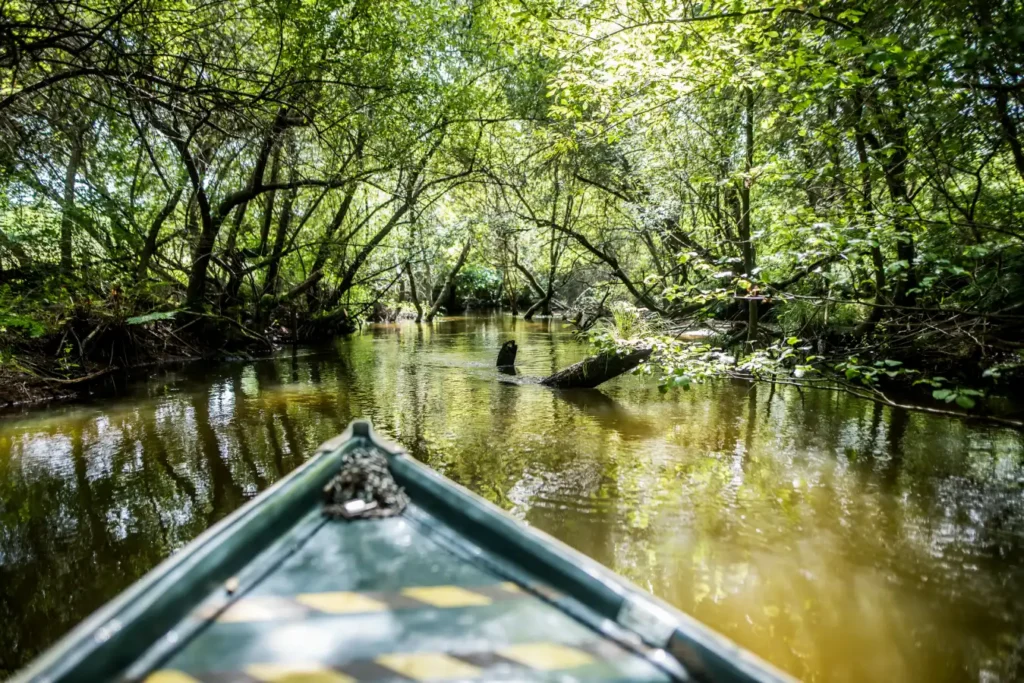 Camping dans les Landes proche du Courant d’Huchet, idéal pour découvrir la nature préservée, les balades en barque et les paysages typiques du littoral landais.
