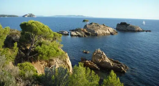 Image activité