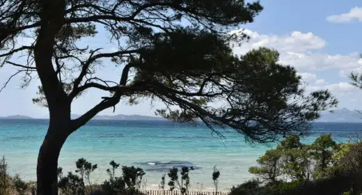 Image activité