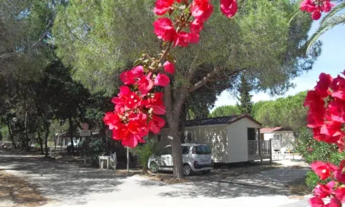 image de l'hebergement