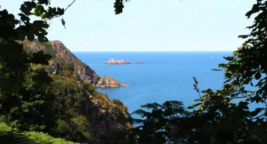 Image activité