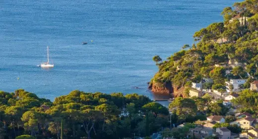 Image activité
