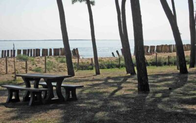 Image camping
