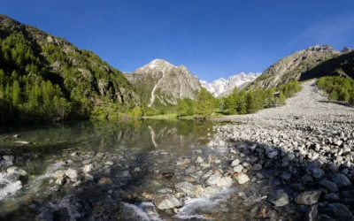 Image camping