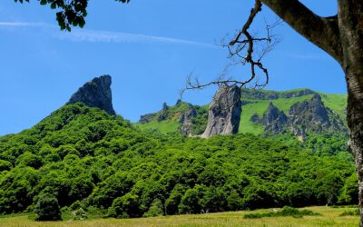 Image camping