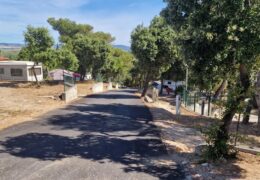 Travaux d&rsquo;Abattage sur le camping de Giens